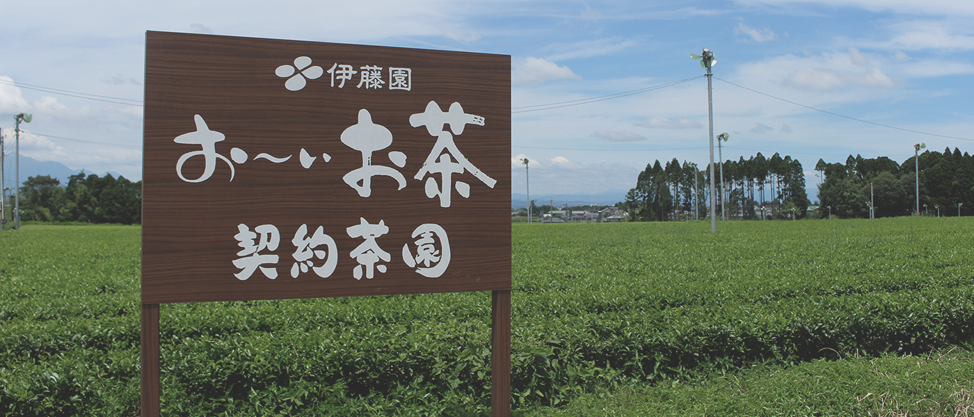 茶産地育成事業のイメージバナー画像