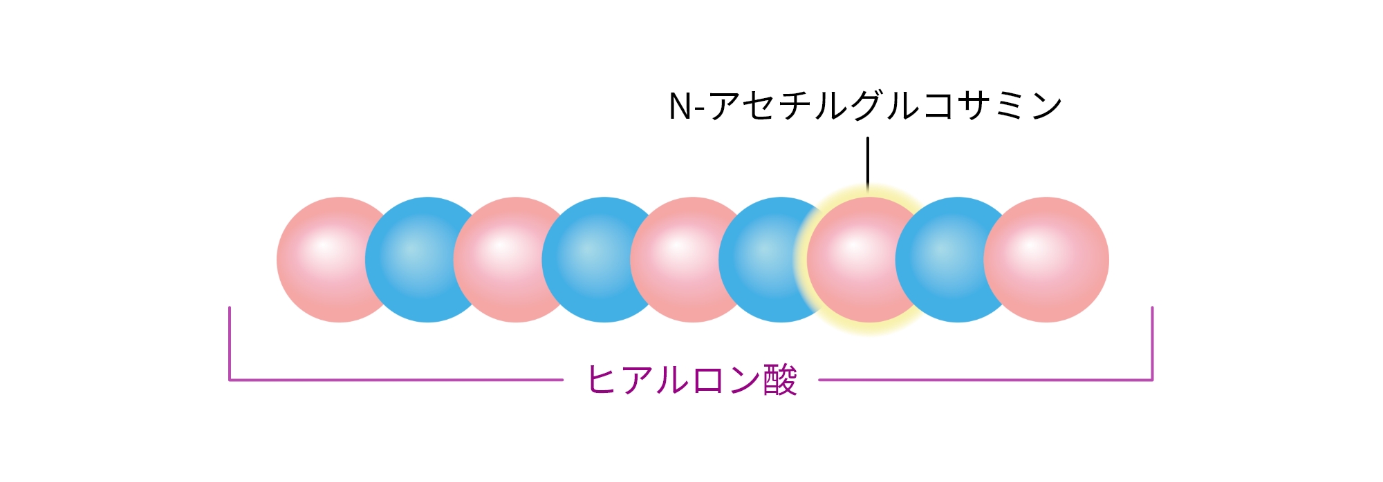 イメージ：ヒアルロン酸