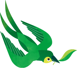 緑色の鳥