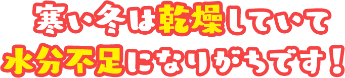 寒い冬は乾燥していて水分不足になりがちです！