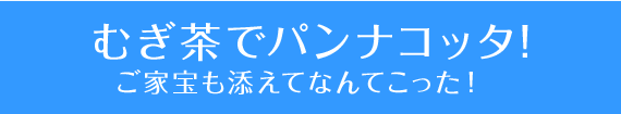 むぎ茶でパンナコッタ!ご家宝も添えてなんてこった！