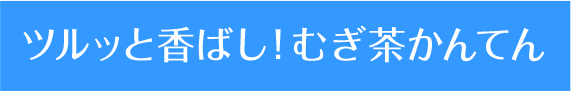 ツルッと香ばし！むぎ茶んてん