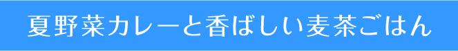 夏野菜カレーと香ばしい麦茶ごはん