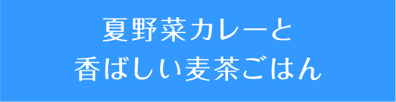 夏野菜カレーと香ばしい麦茶ごはん