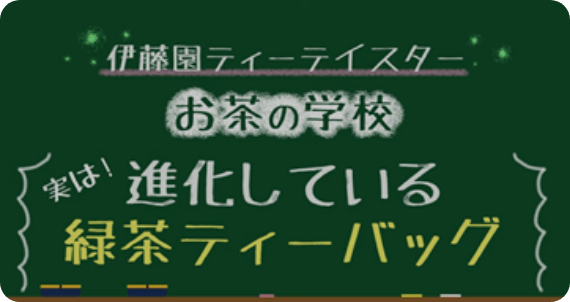 実は！進化している緑茶ティーバッグ