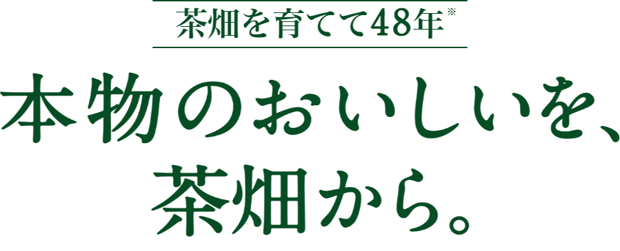 茶畑を育てて48年　本物のおいしいを、茶畑から。