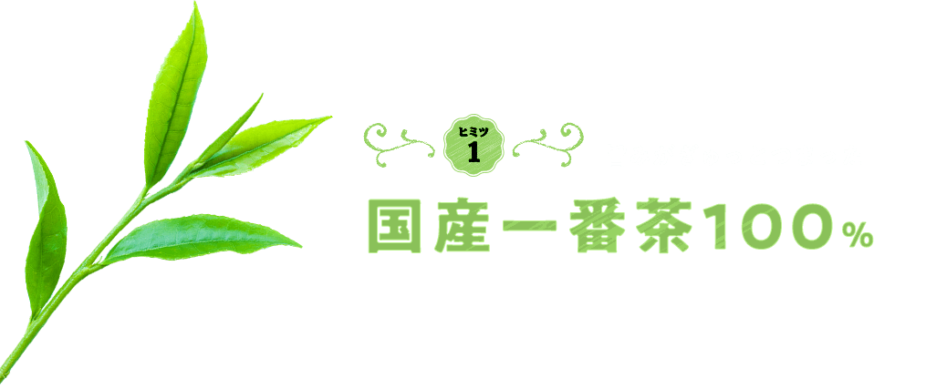 ヒミツ1　旨みがぎゅっとつまった　国産一番茶100%