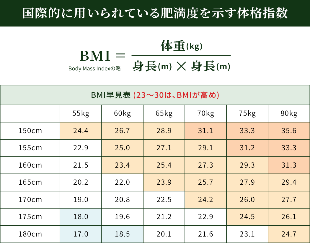 国際的に用いられている肥満度を示す体格指数