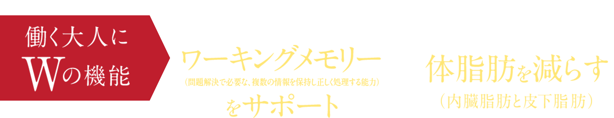 働く大人にWの機能 ガレート型カテキンの研究報告による年齢とともに低下する認知機能のうちワーキングメモリー（問題解決で必要な、複数の情報を保持し正しく処理する能力）をサポート x ガレート型カテキンの研究報告によるBMIが高めの方の体脂肪を減らす（内臓脂肪と皮下脂肪）