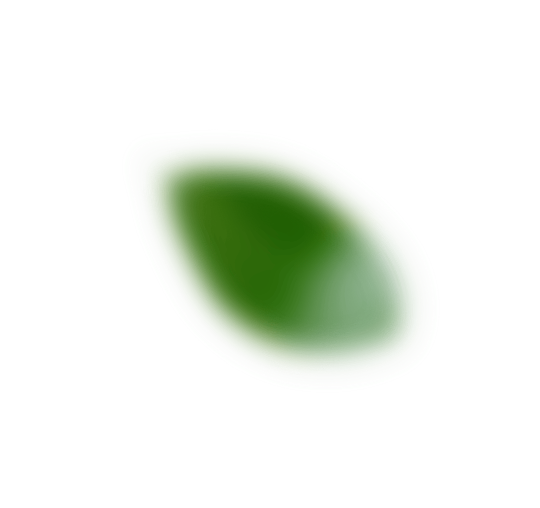 葉っぱの画像