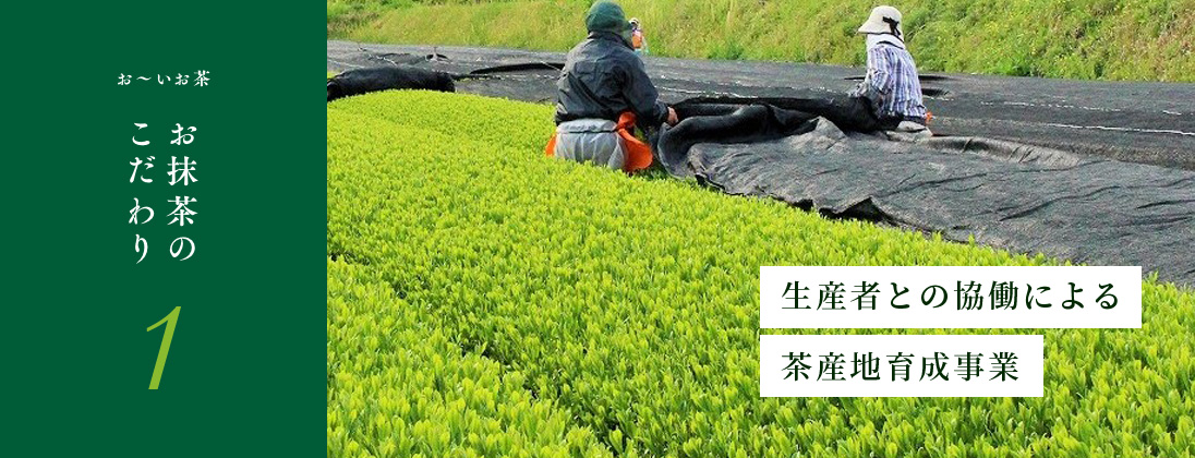 
					お抹茶のこだわり1
					生産者との協働による
					契約栽培
					