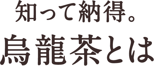 知って納得。烏龍茶とは