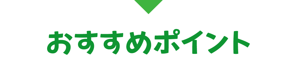 おすすめポイント