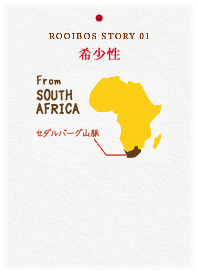 ROOIBOS STORY 01 希少性
