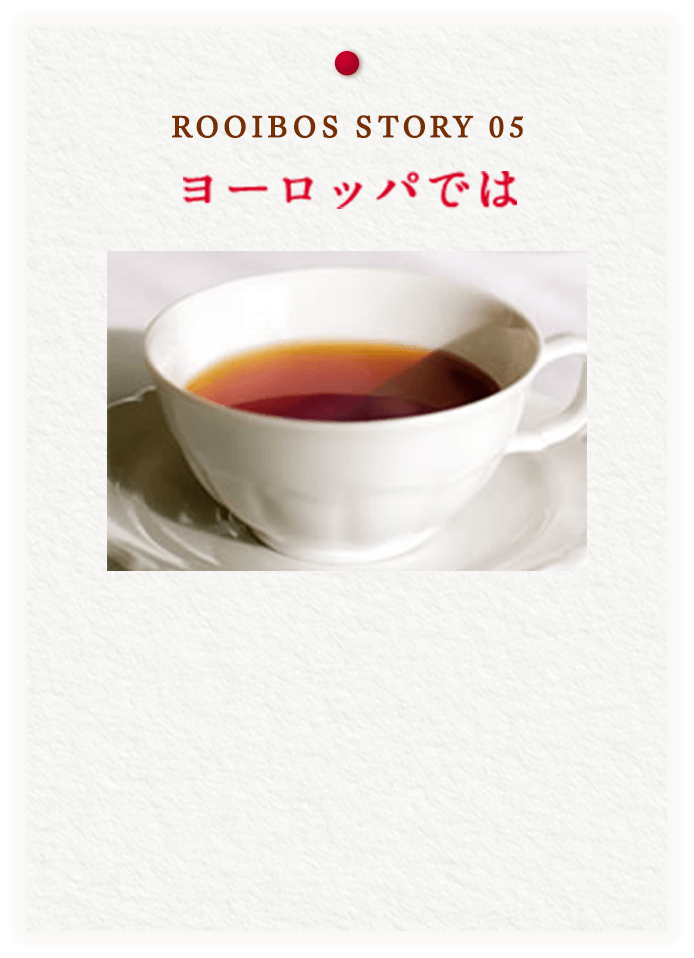 ROOIBOS STORY 05 ヨーロッパでは