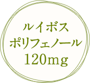 ルイボスポリフェノール120mg