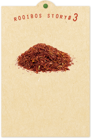 ROOIBOS STORY#3