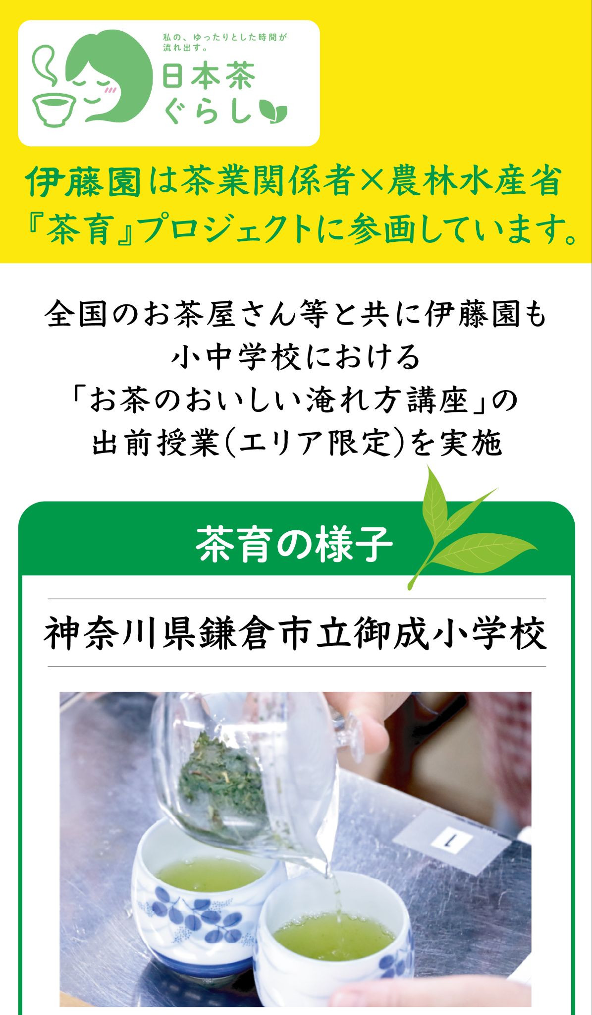 伊藤園｜軽くて割れにくい！理想のシリーズ＼絶対もらえる