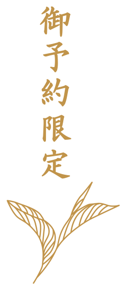 予約限定