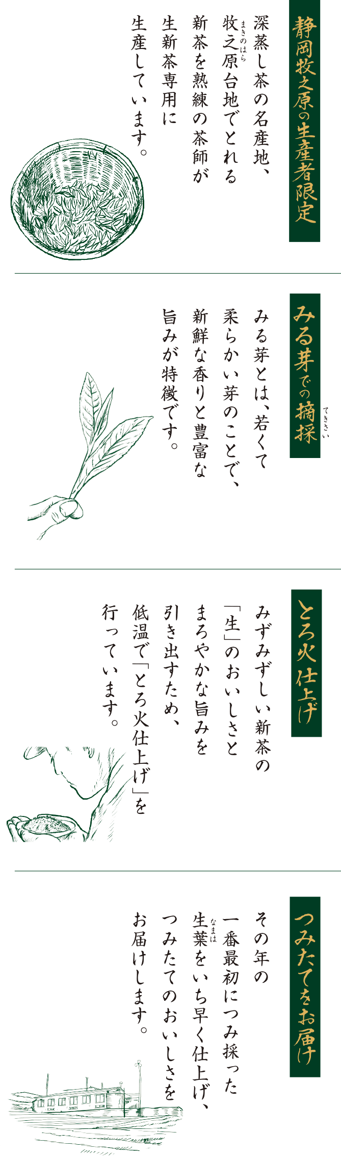 みずみずしい新茶「生」のこだわり