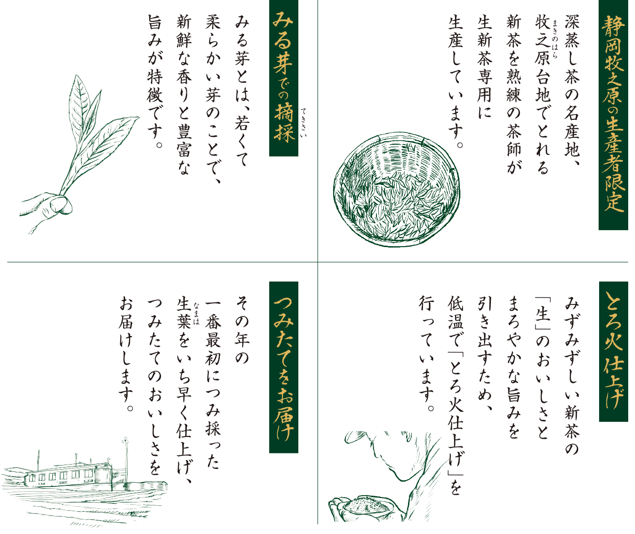 みずみずしい新茶「生」のこだわり