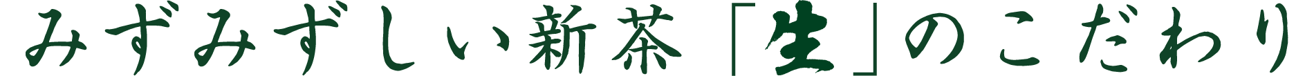 みずみずしい新茶「生」のこだわり