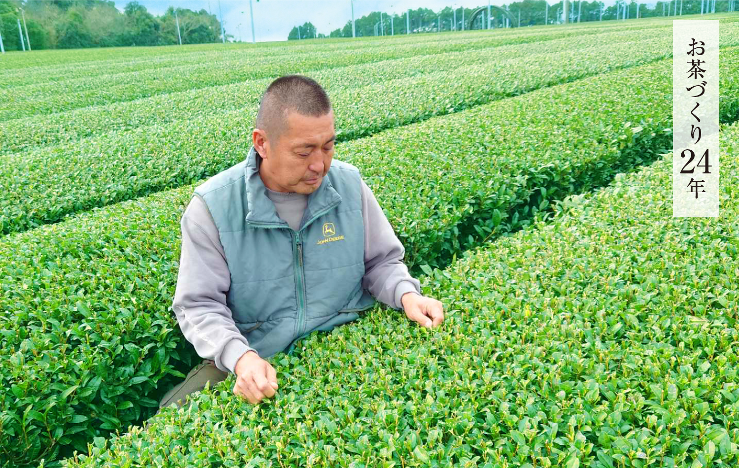 お茶づくり22年