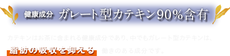 健康成分 ガレート型カテキン90%含有 