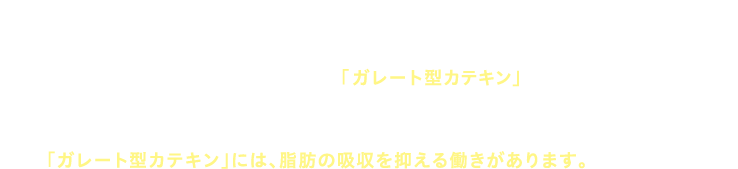 「カテキン」を細かく見てみると、8つのタイプがあります。それらは構造によって、｢ガレート型｣と｢遊離型｣の2つに分類することができます。その中でも、伊藤園が注目したのが、「ガレート型カテキン」です。通常、食事で摂った脂肪は、小腸で消化酵素（リパーゼ）により分解されることで体内に吸収されます。ガレート型カテキンにはこのリパーゼによる食事の脂肪の分解をブロックする働きがあります。つまり、「ガレート型カテキン」には、脂肪の吸収を抑える働きがあります。