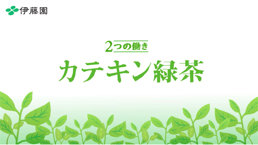 2つの働きカテキン緑茶 「特保 カテキン緑茶の魅力」篇