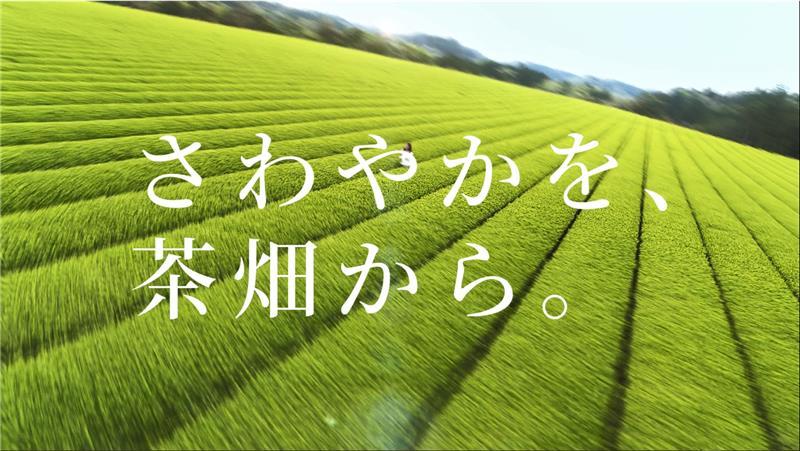 お～いお茶 「さわやかを、茶畑から。」篇