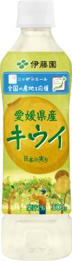 ニッポンエール 愛媛県産キウイ PET 500g