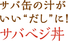 サバ缶の汁がいい