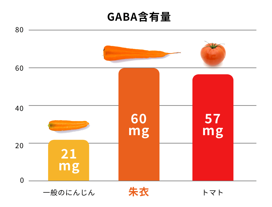 GABA含有量